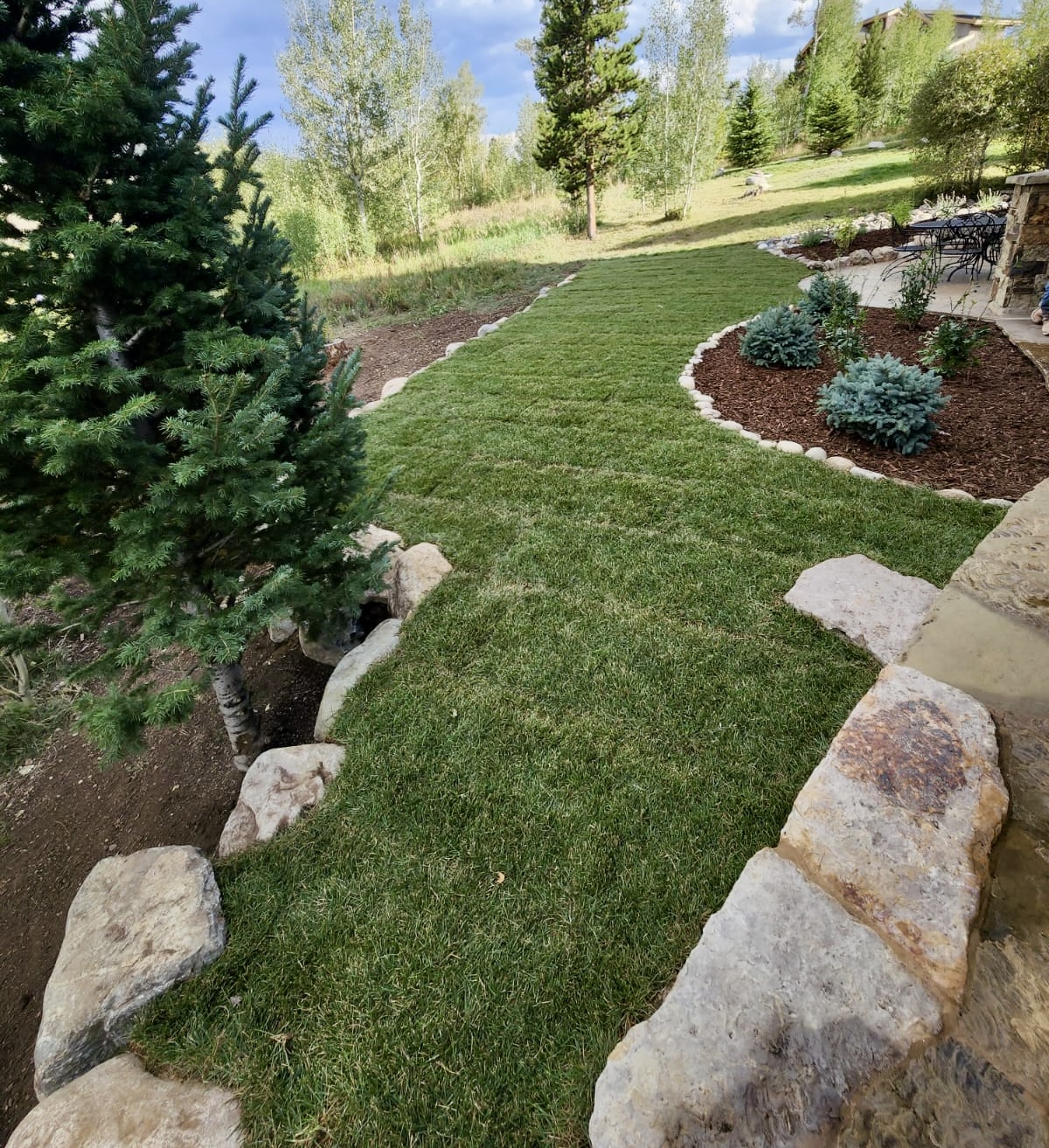 Turf & Native Grasses Gallery - Photo 7