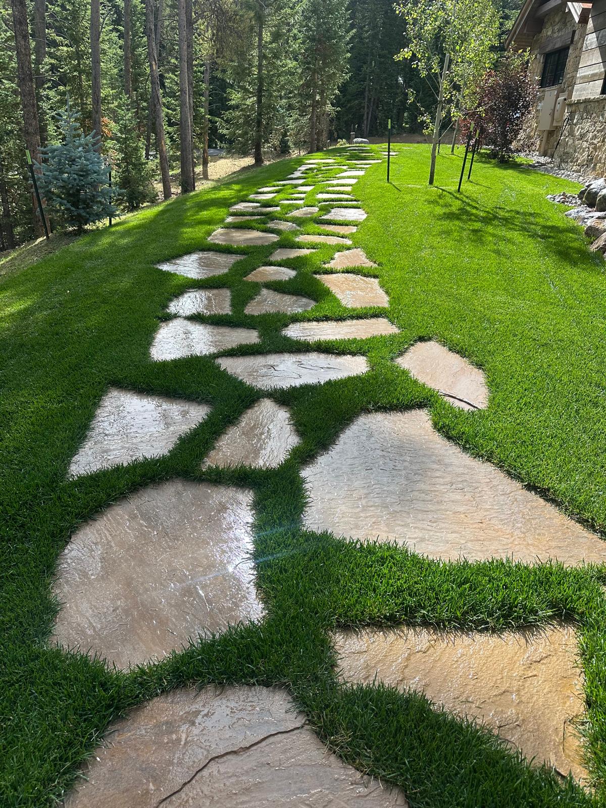 Turf & Native Grasses Gallery - Photo 8