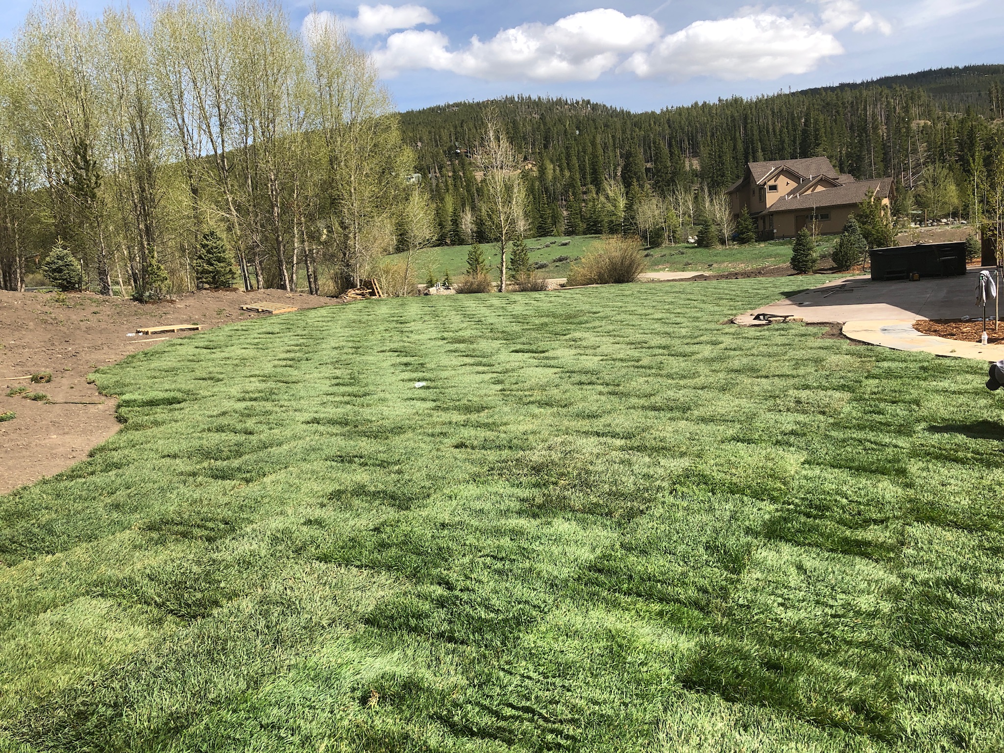 Turf & Native Grasses Gallery - Photo 9