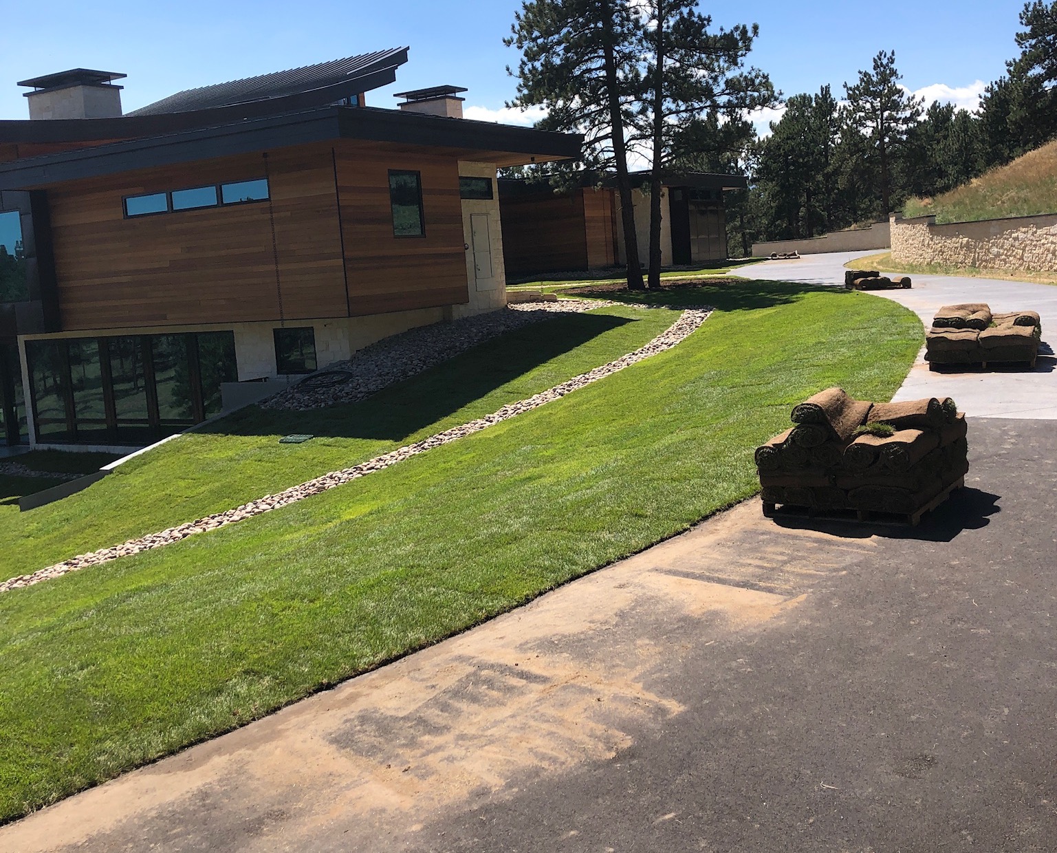 Turf & Native Grasses Gallery - Photo 10