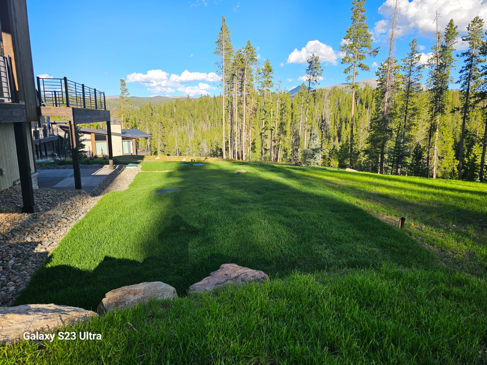 Turf & Native Grasses Gallery - Photo 11