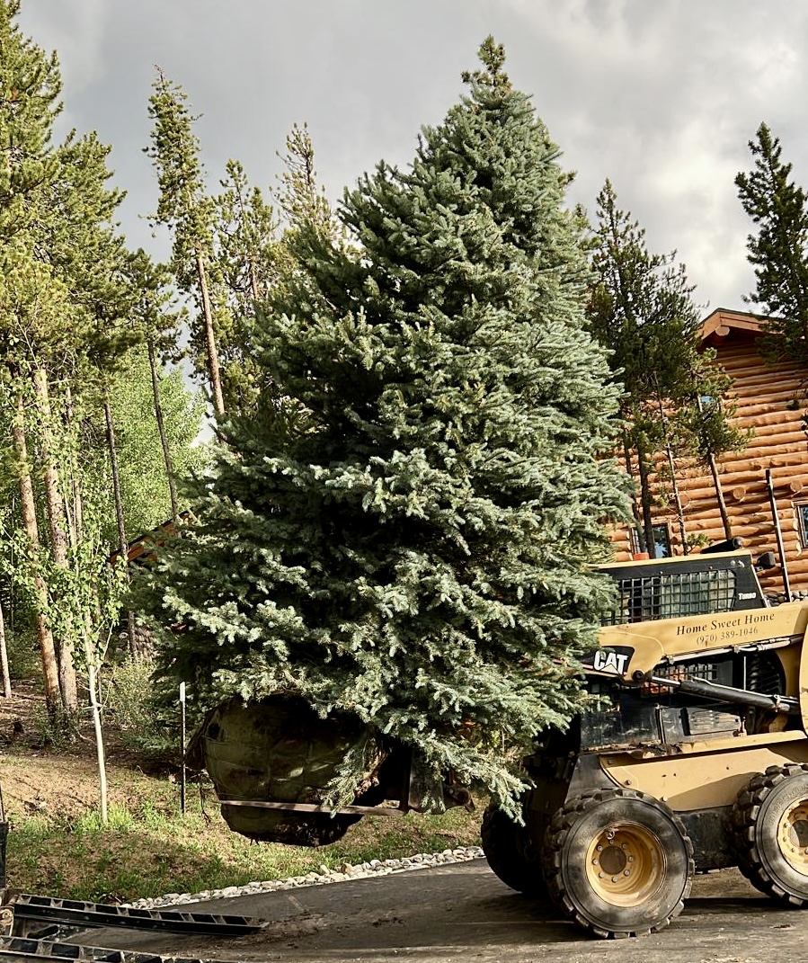 During Construction - Photo 4