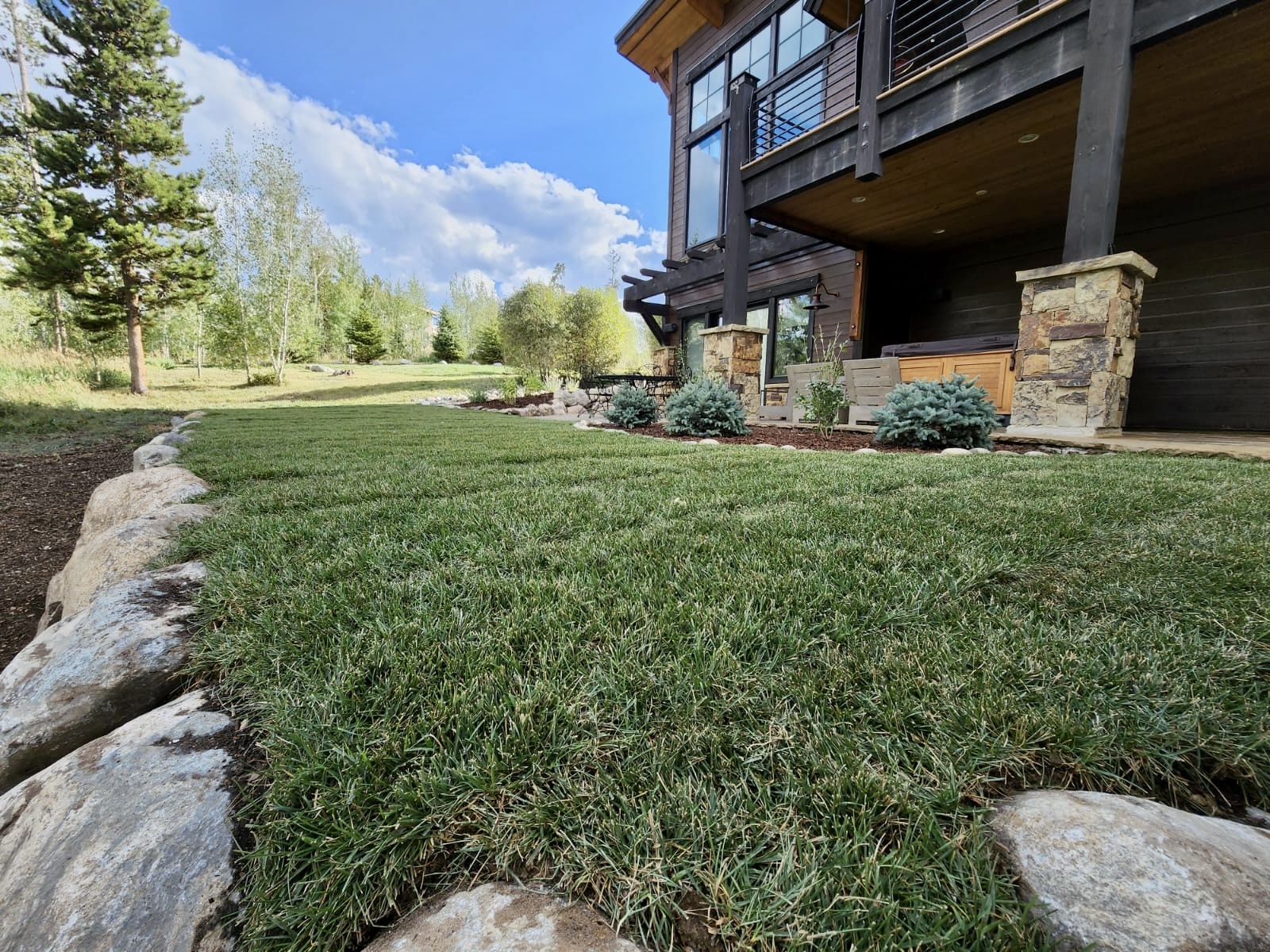 Turf & Native Grasses Gallery - Photo 12