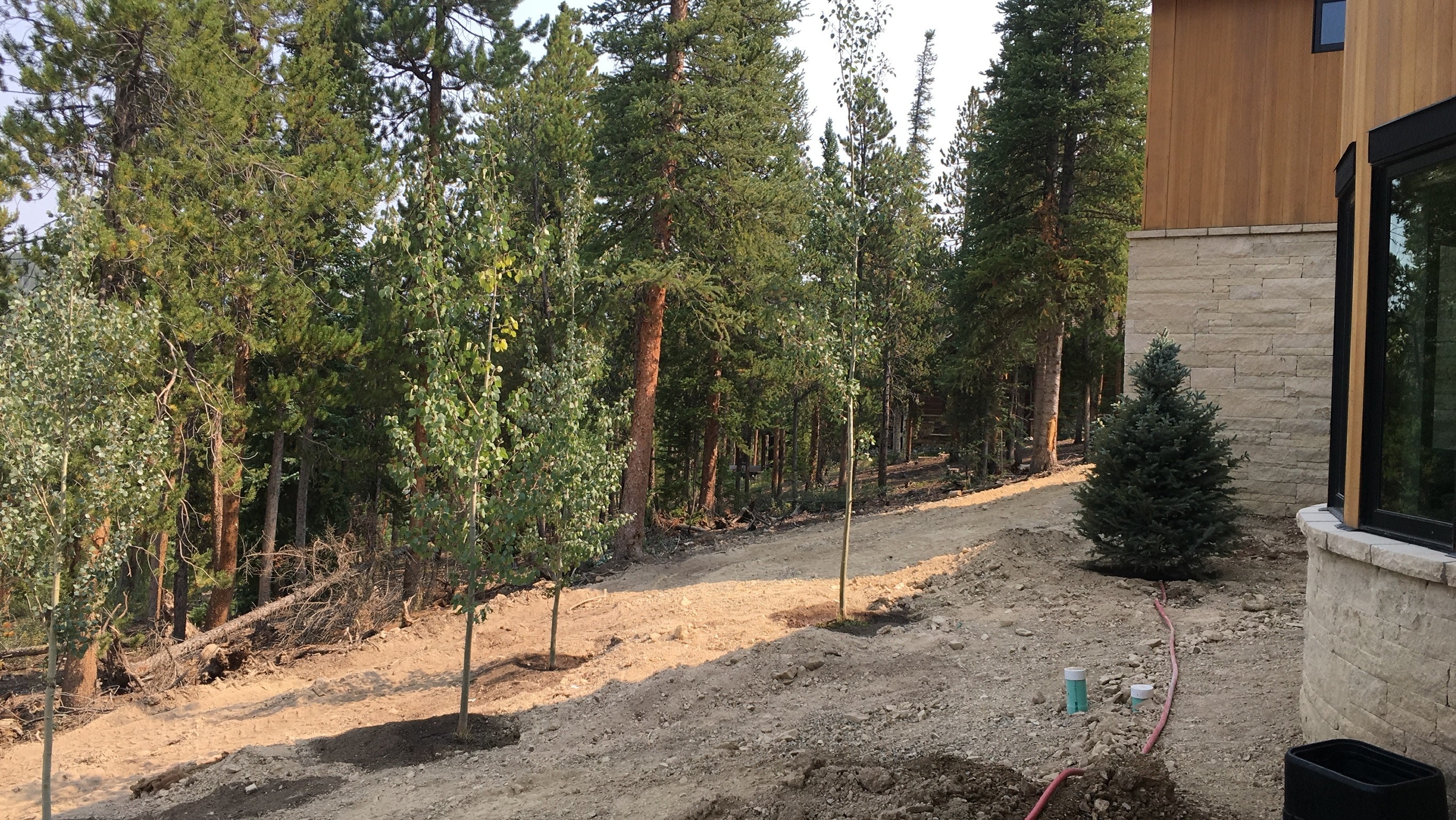 During Construction - Photo 5