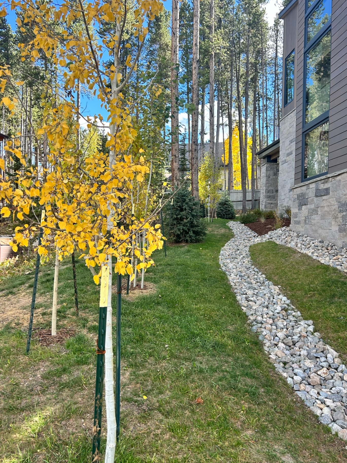 Trees & Plantings Gallery - Photo 24