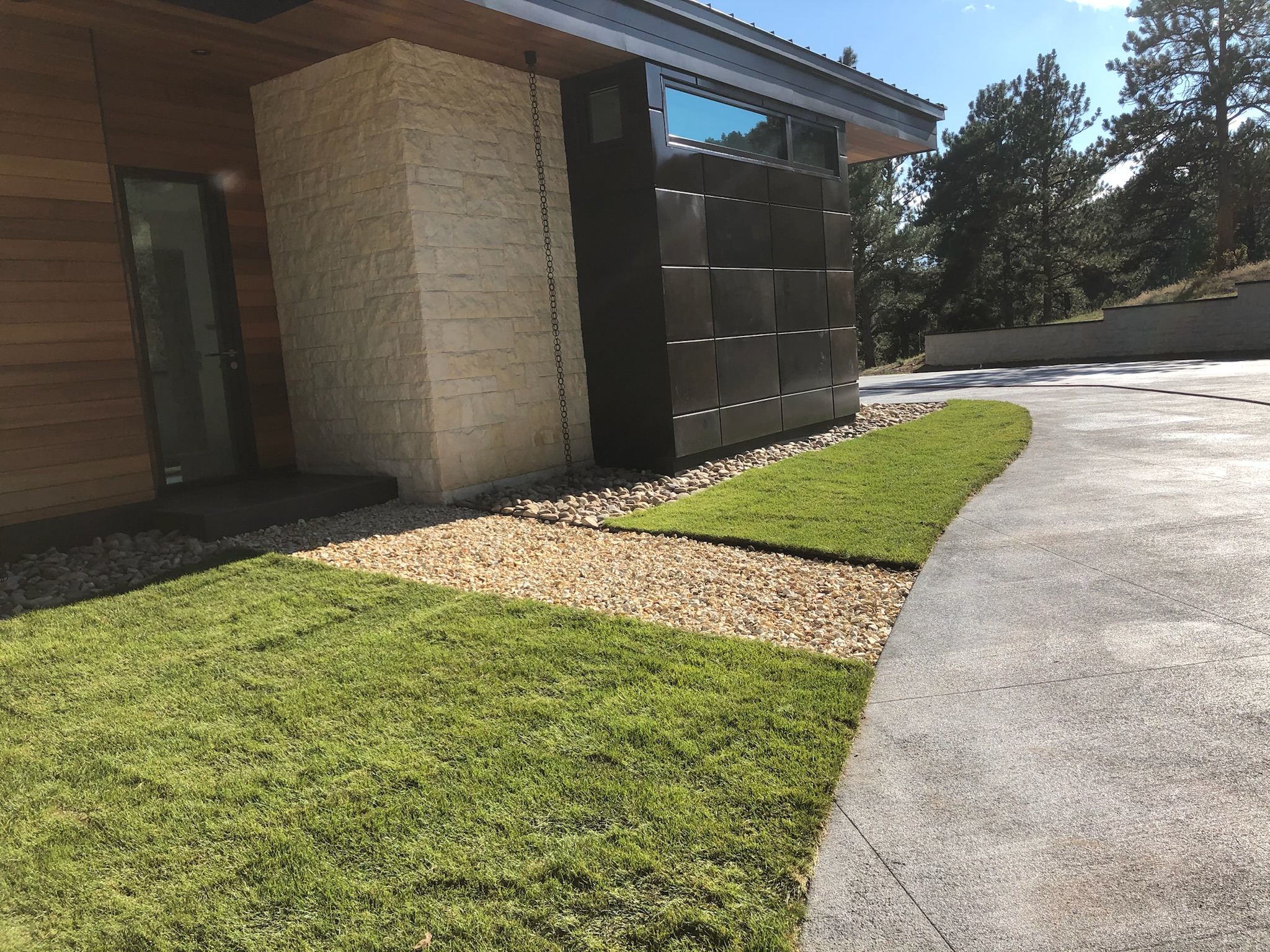 Turf & Native Grasses Gallery - Photo 16