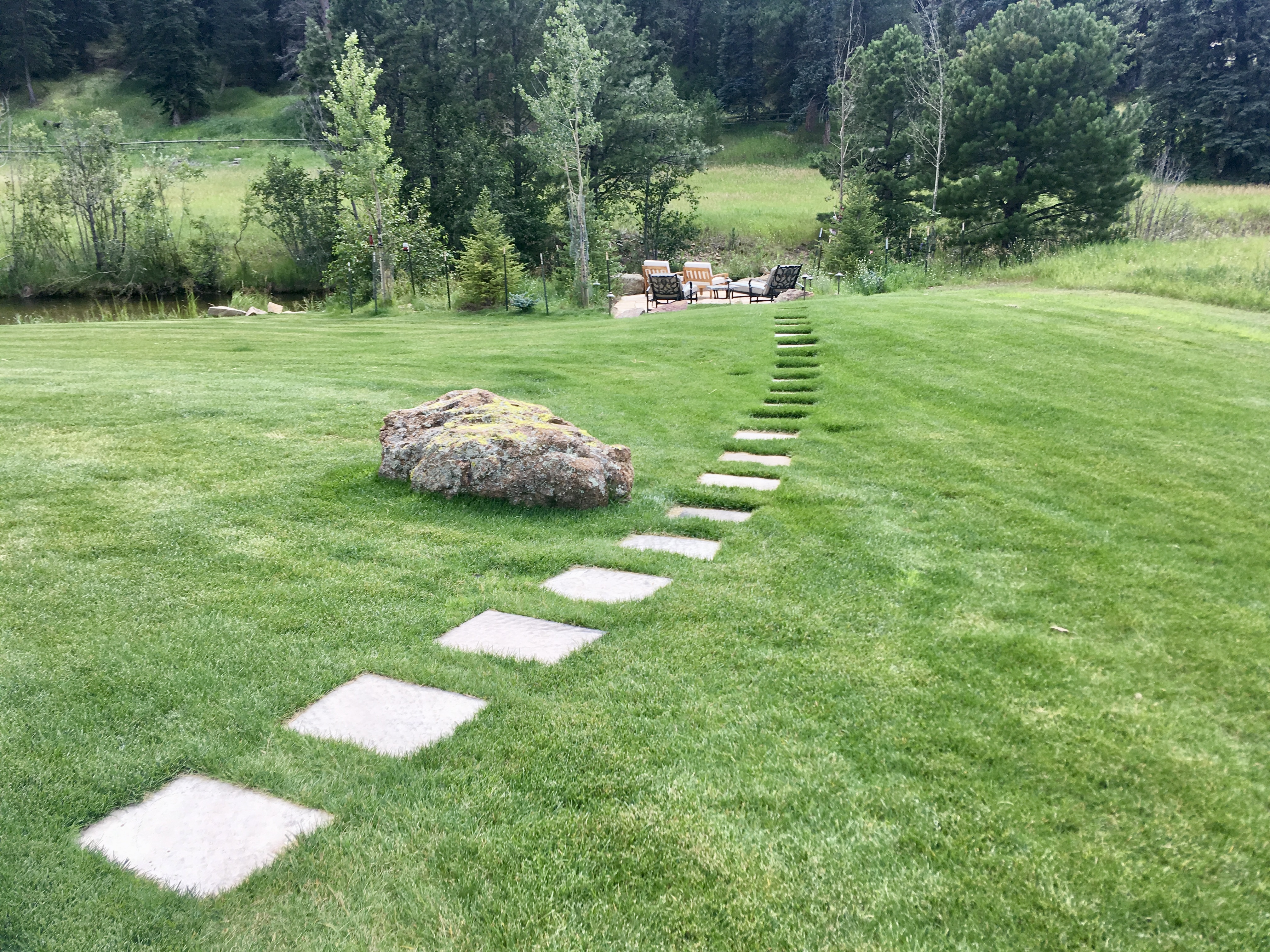 Turf & Native Grasses Gallery - Photo 17