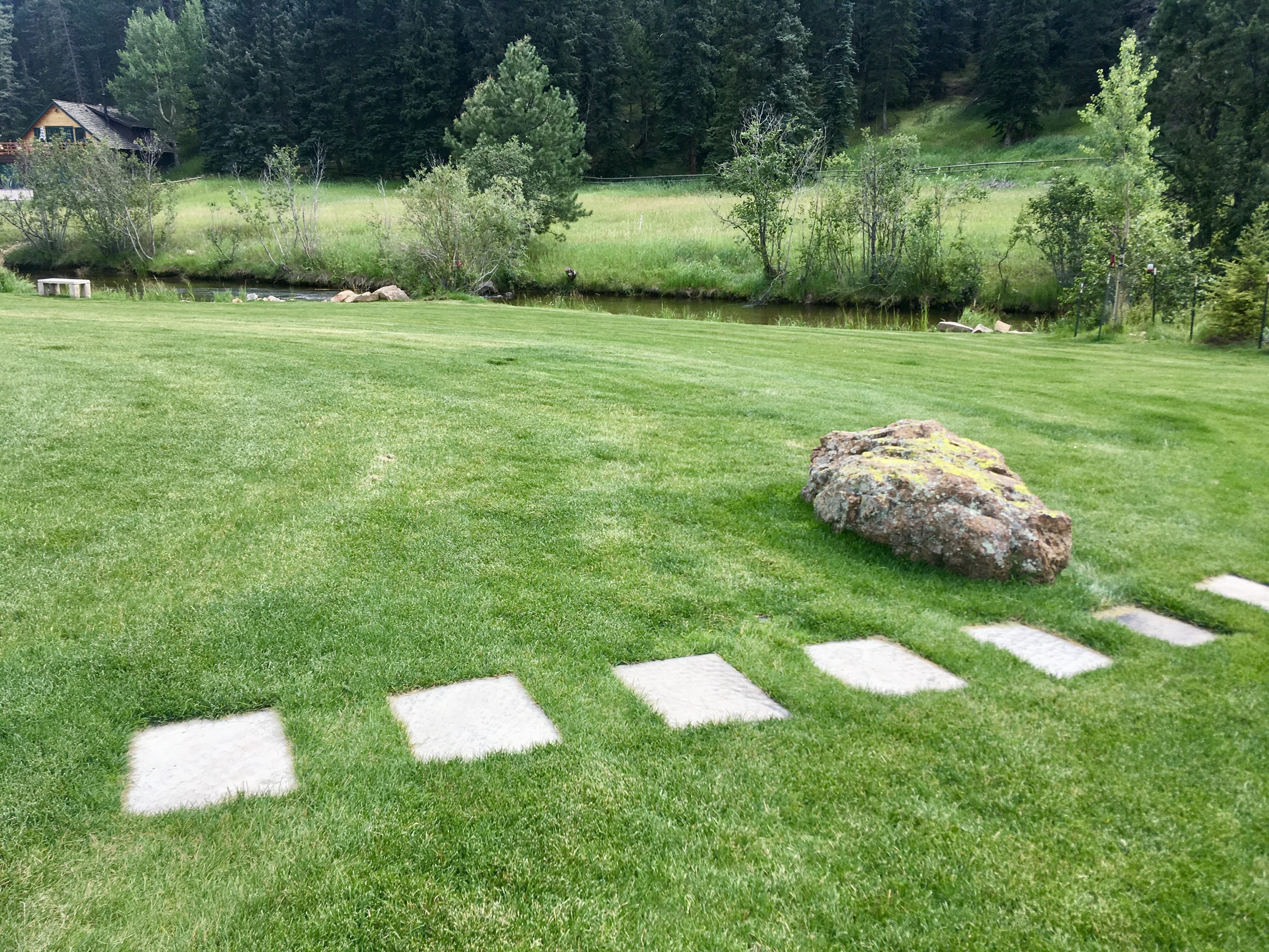 Turf & Native Grasses Gallery - Photo 18