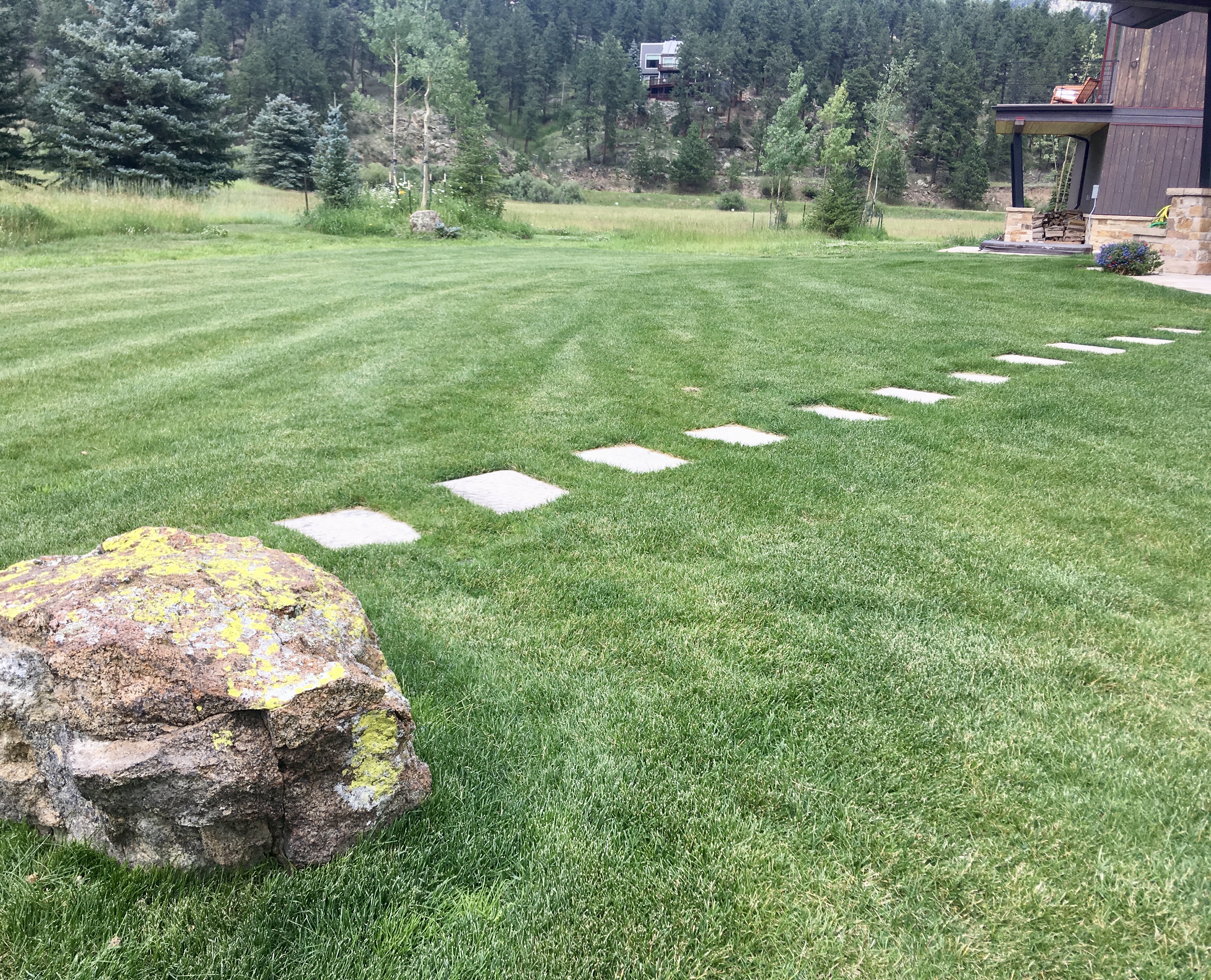 Turf & Native Grasses Gallery - Photo 19