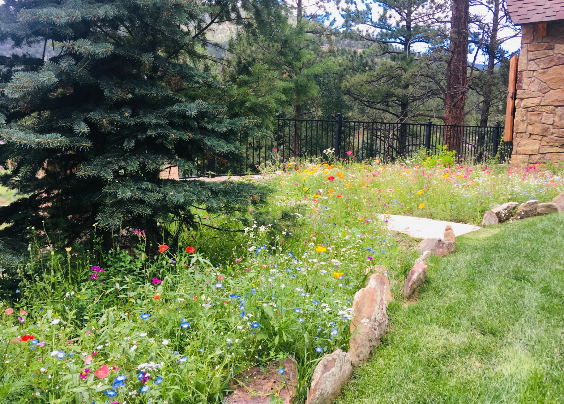 Trees & Plantings Gallery - Photo 7