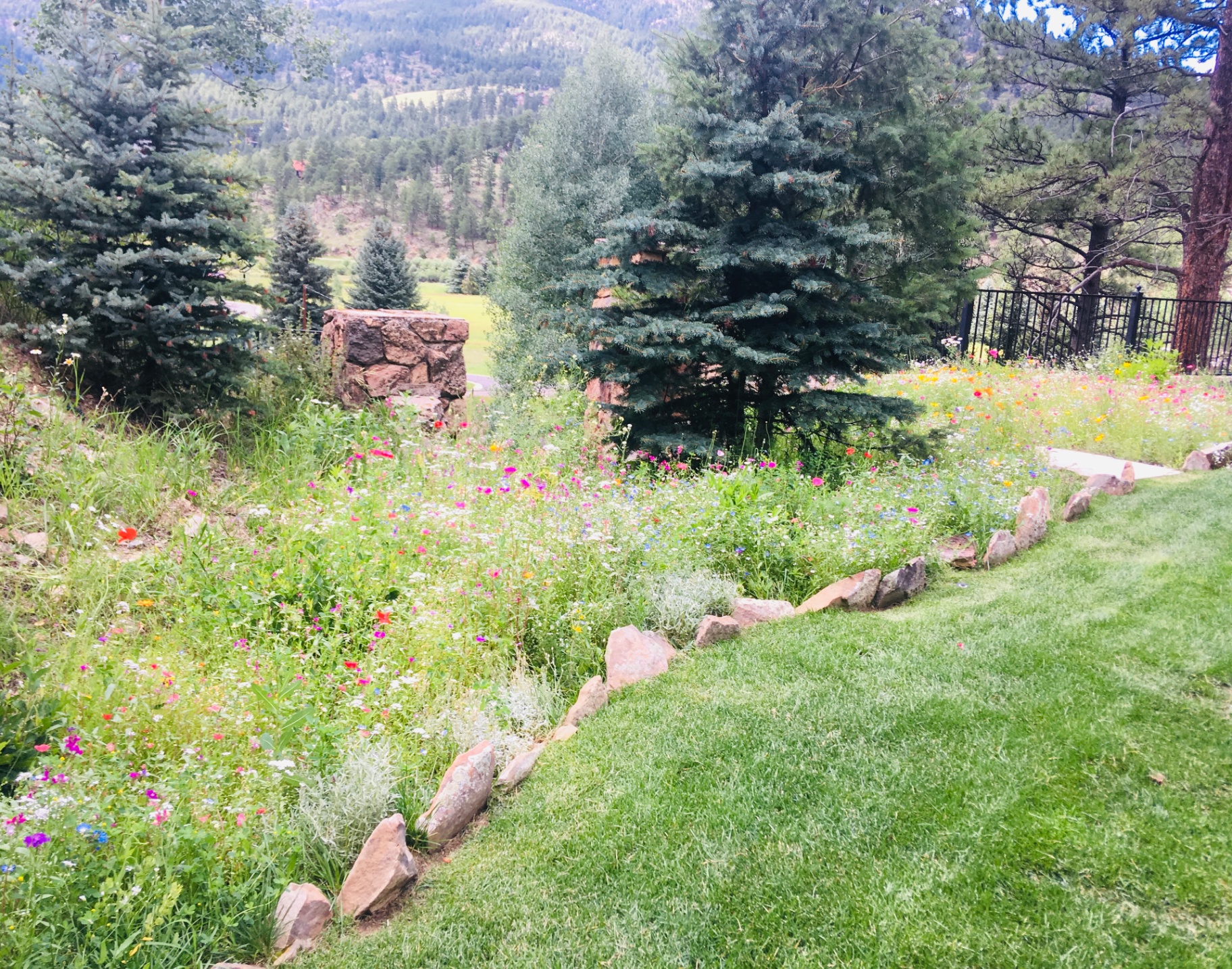 Trees & Plantings Gallery - Photo 16