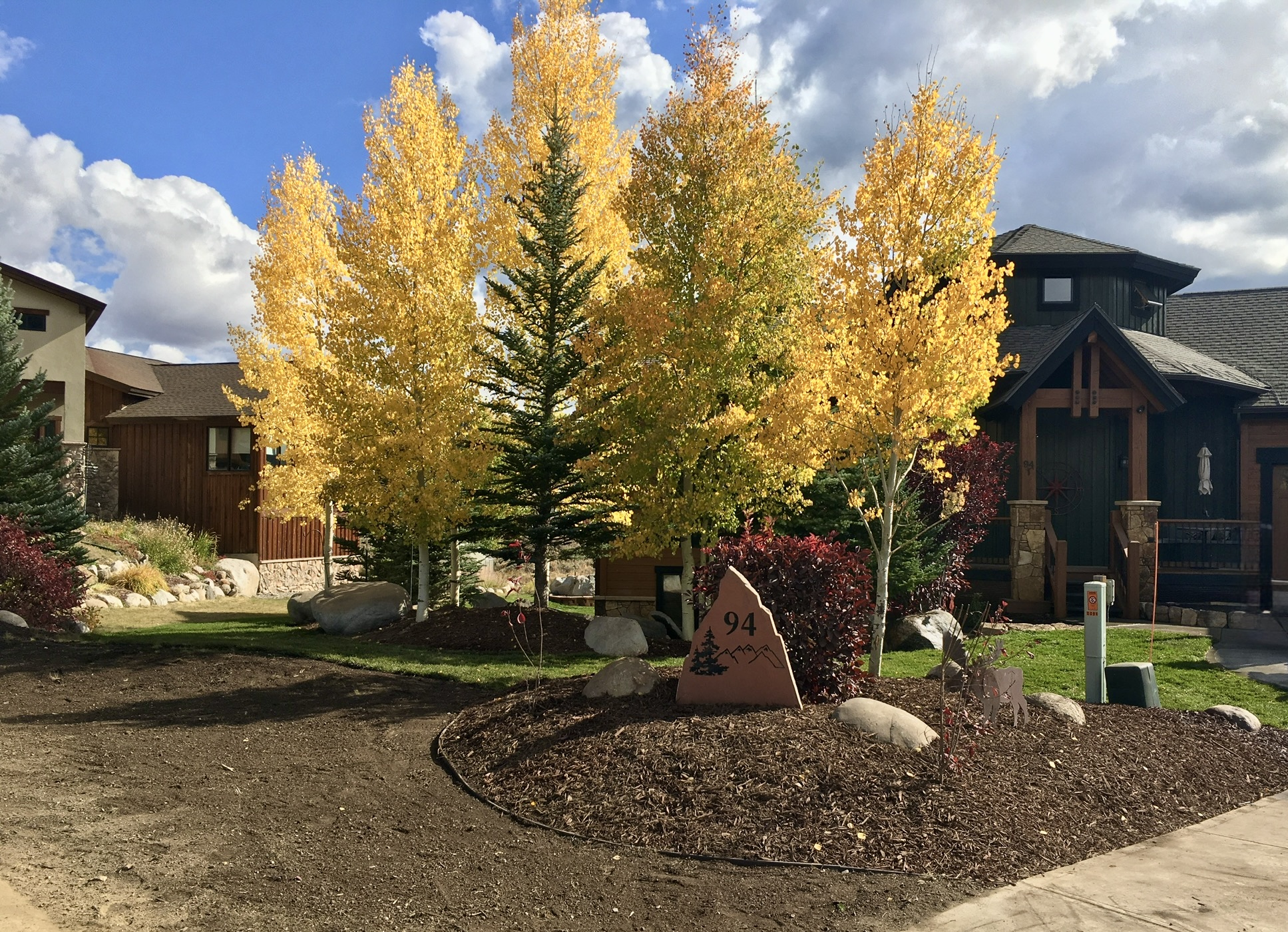 Trees & Plantings Gallery - Photo 19