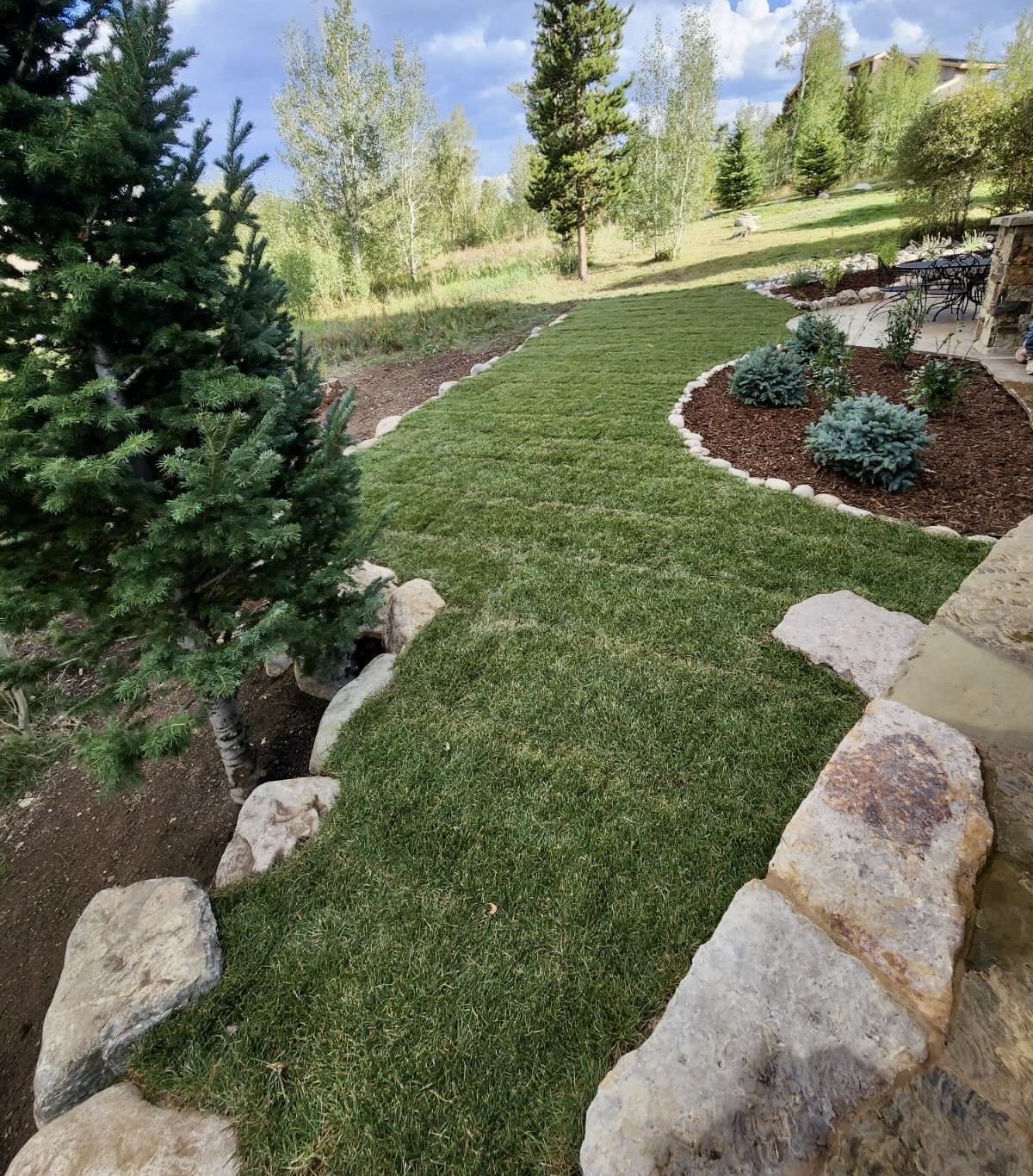 Turf & Native Grasses Gallery - Photo 20