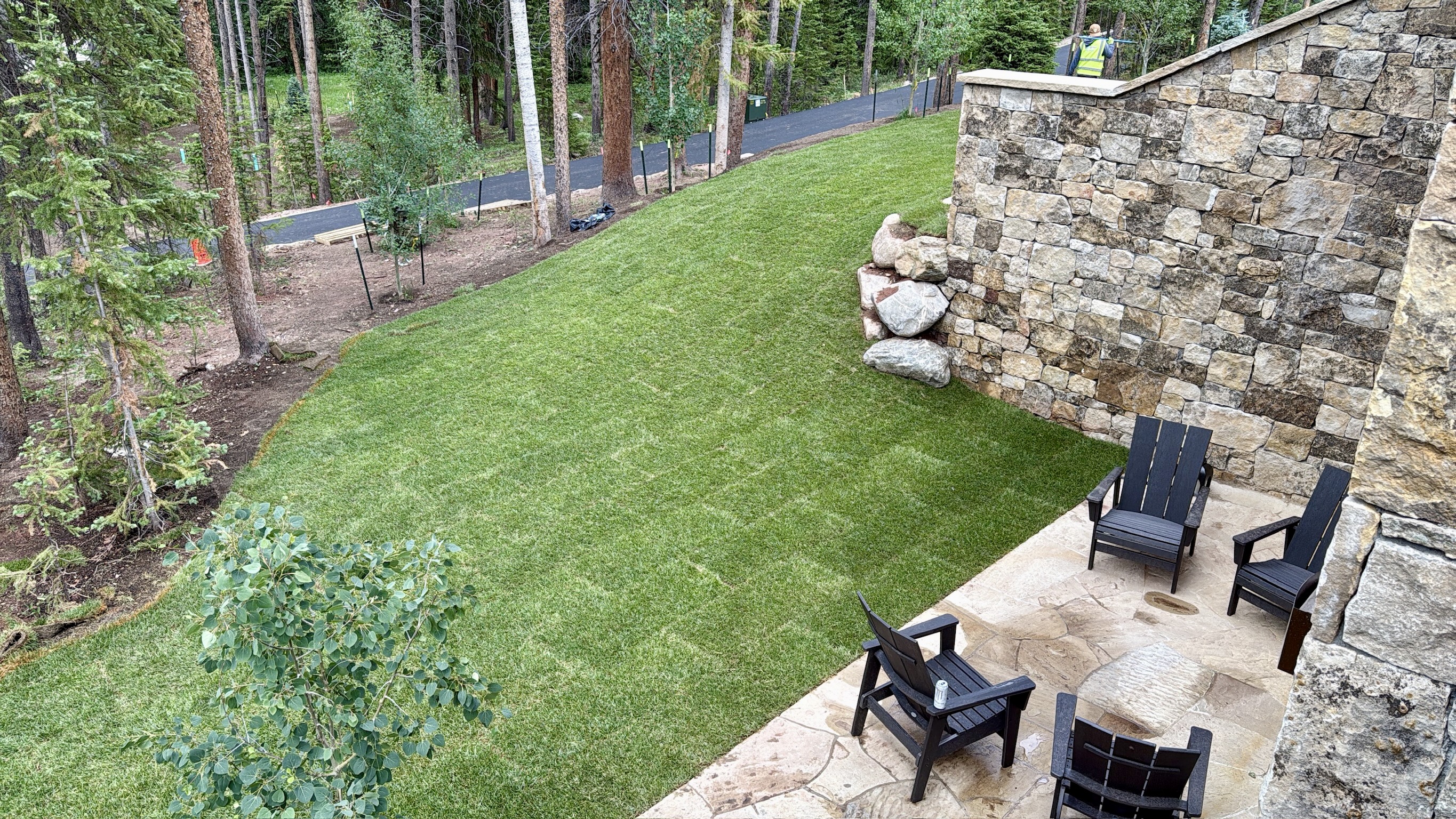 Turf & Native Grasses Gallery - Photo 21