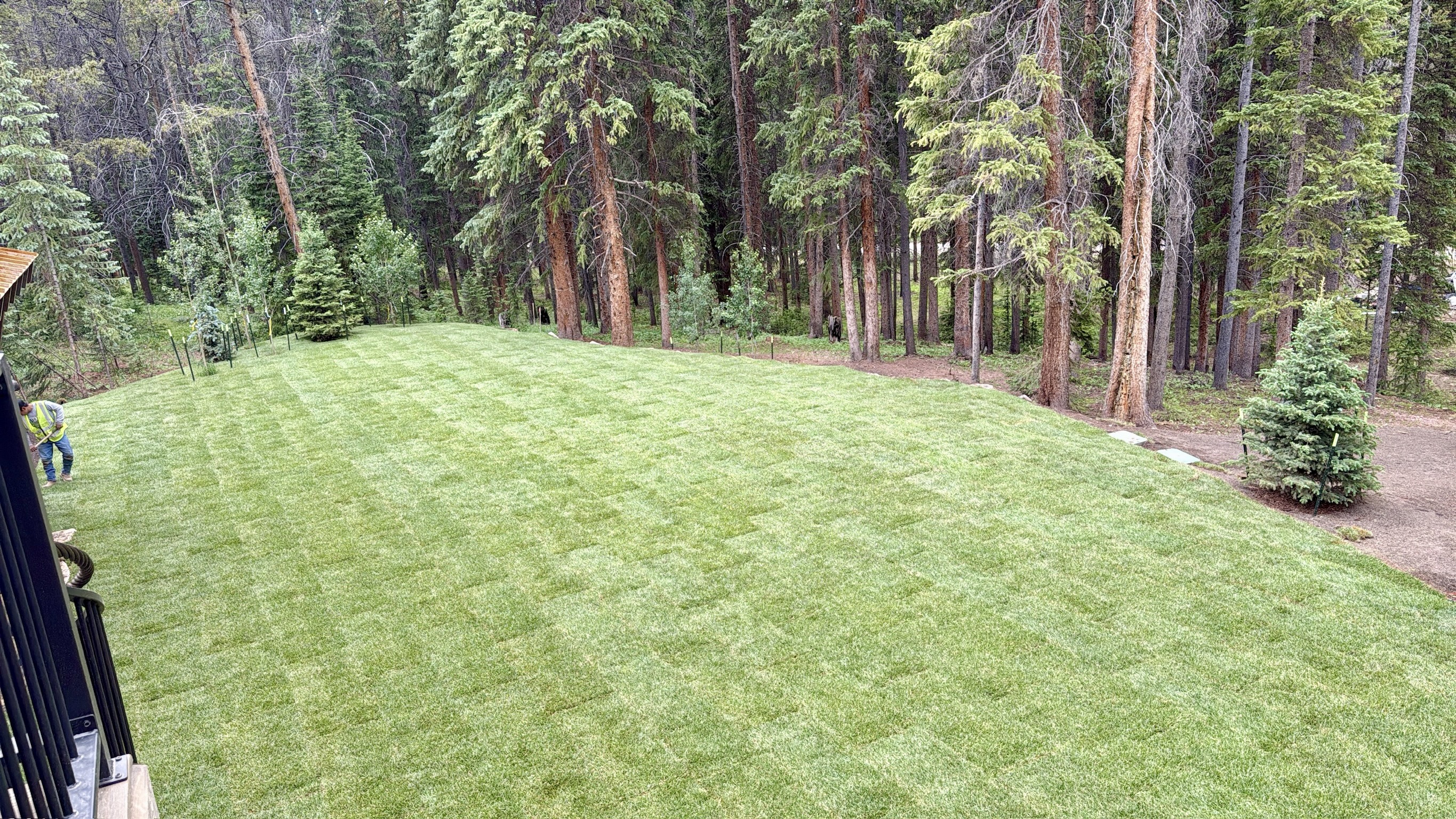 Turf & Native Grasses Gallery - Photo 22