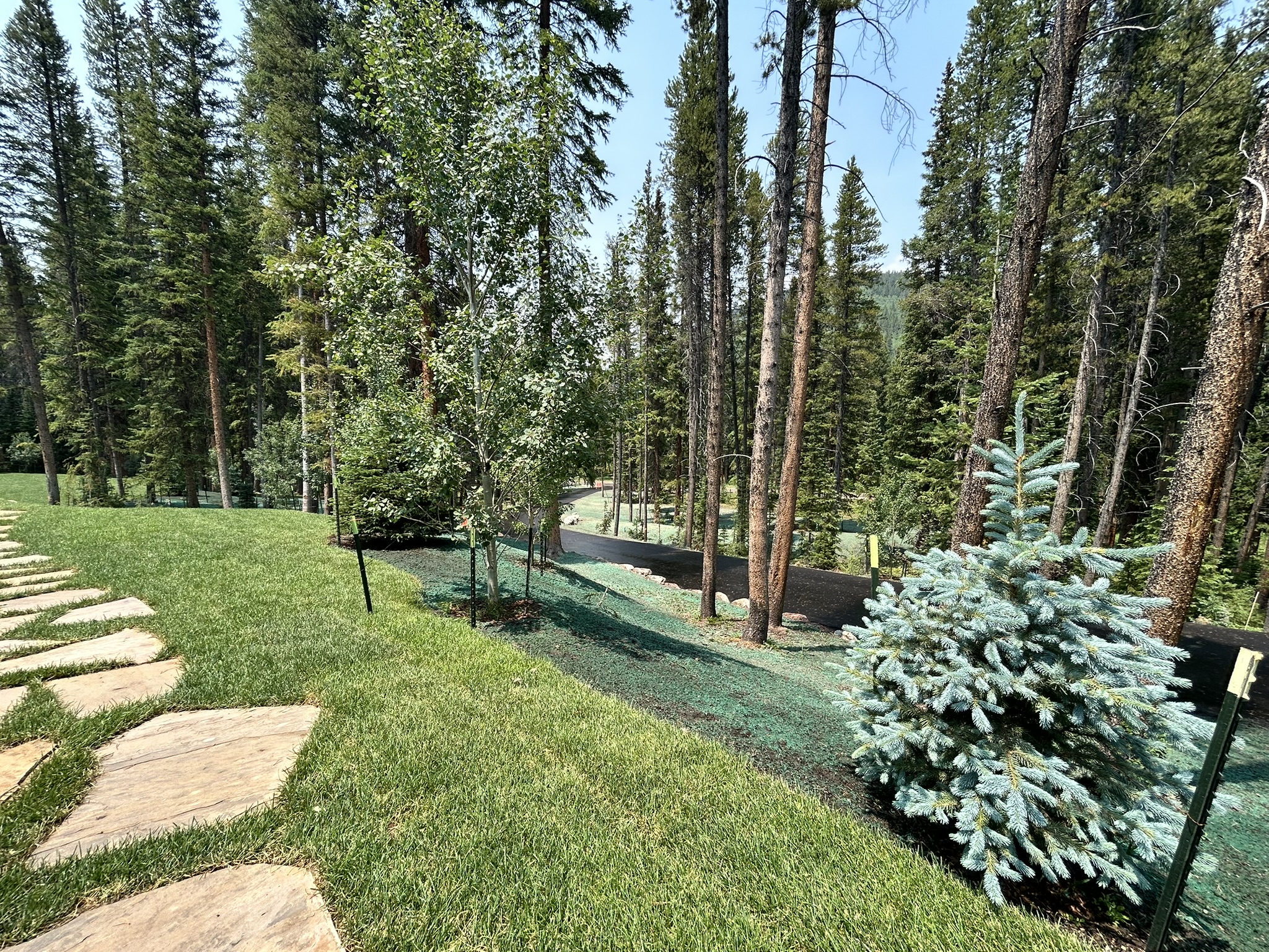 Turf & Native Grasses Gallery - Photo 23