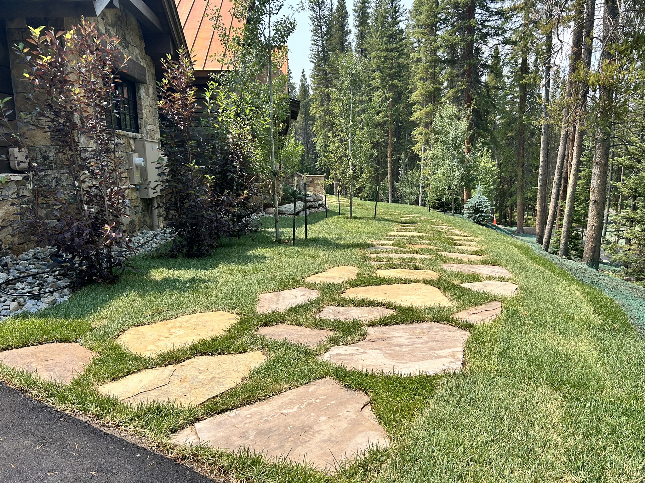 Turf & Native Grasses Gallery - Photo 24