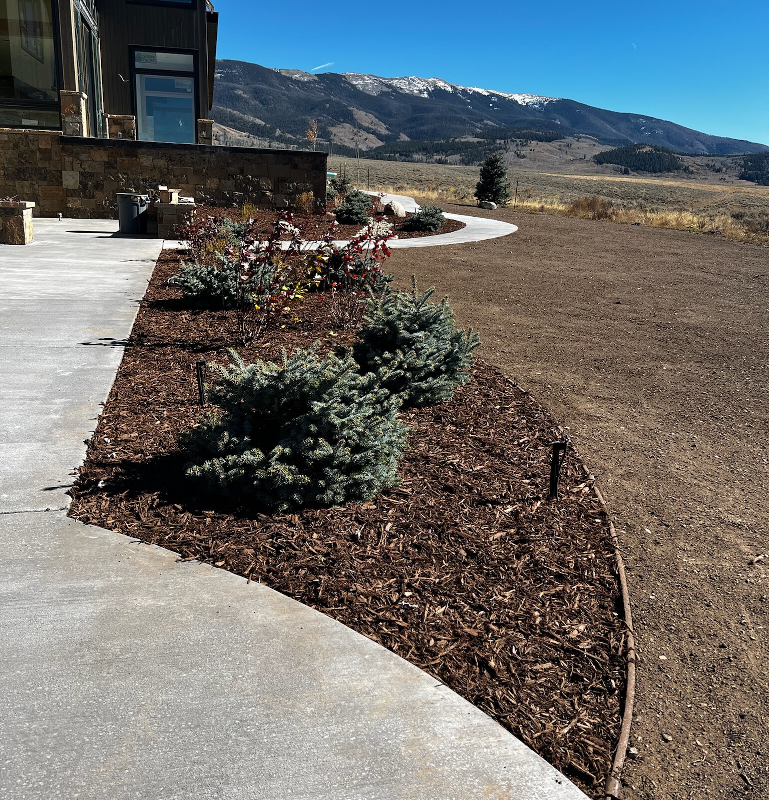 Trees & Plantings Gallery - Photo 11