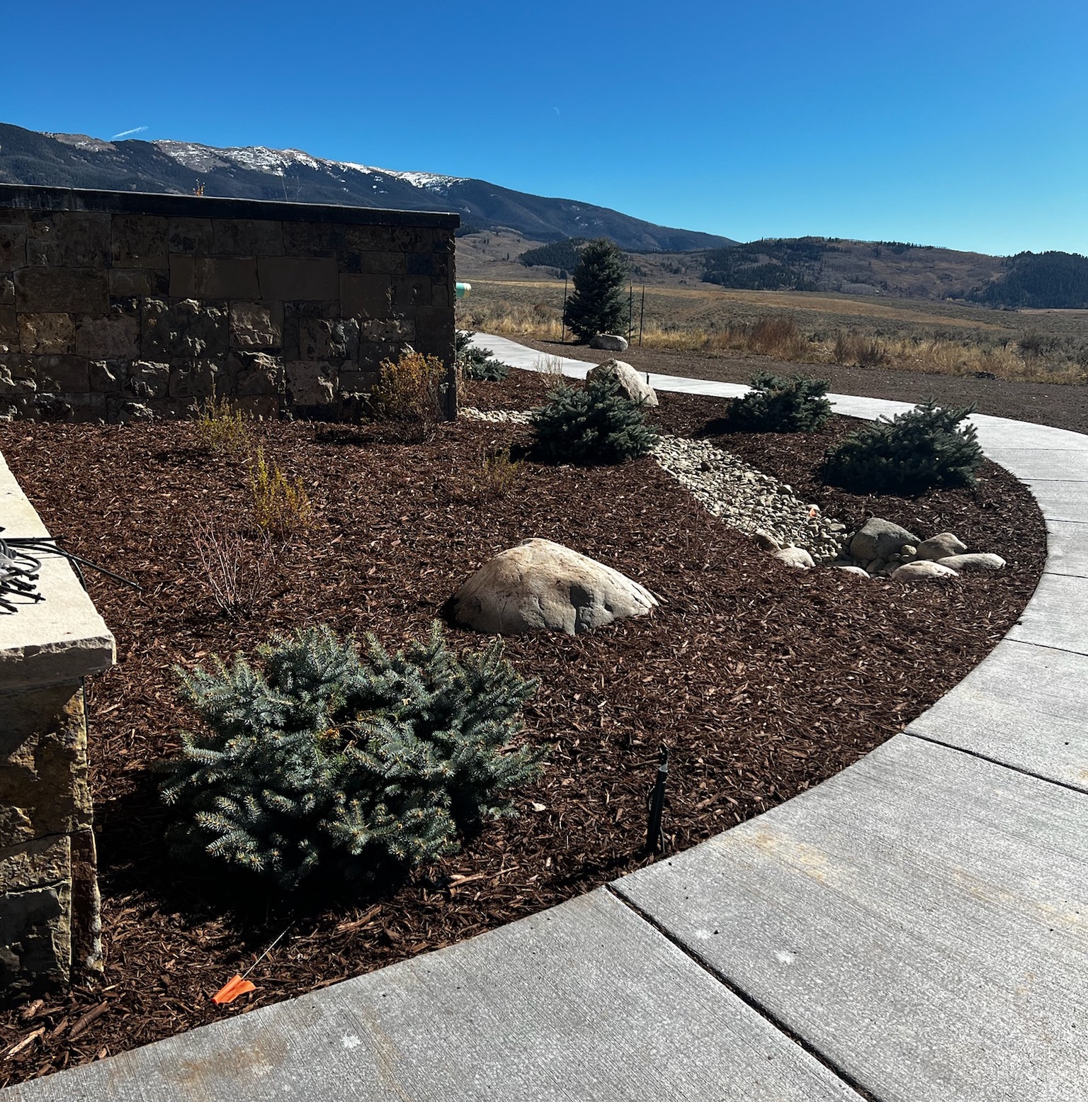 Trees & Plantings Gallery - Photo 12