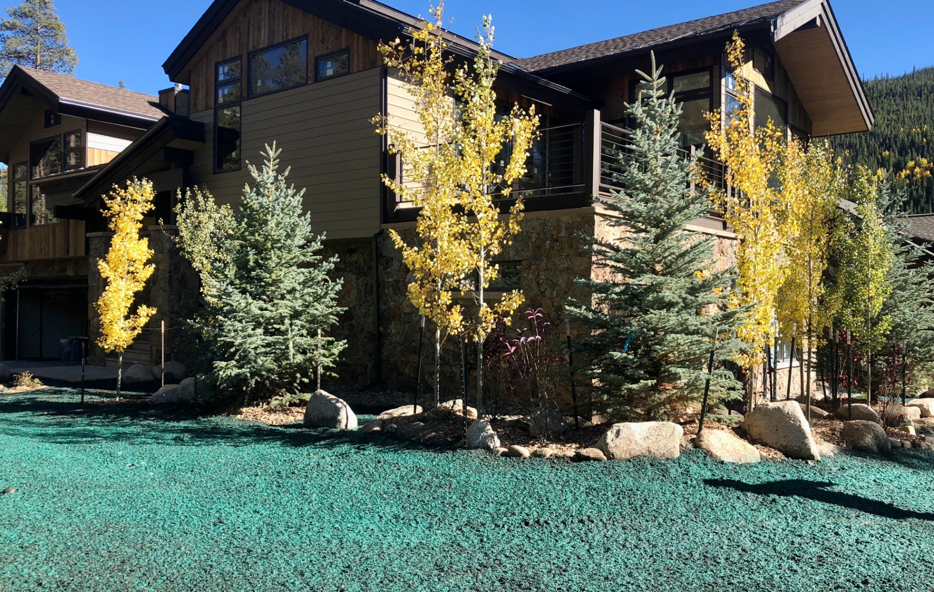 Trees & Plantings Gallery - Photo 27