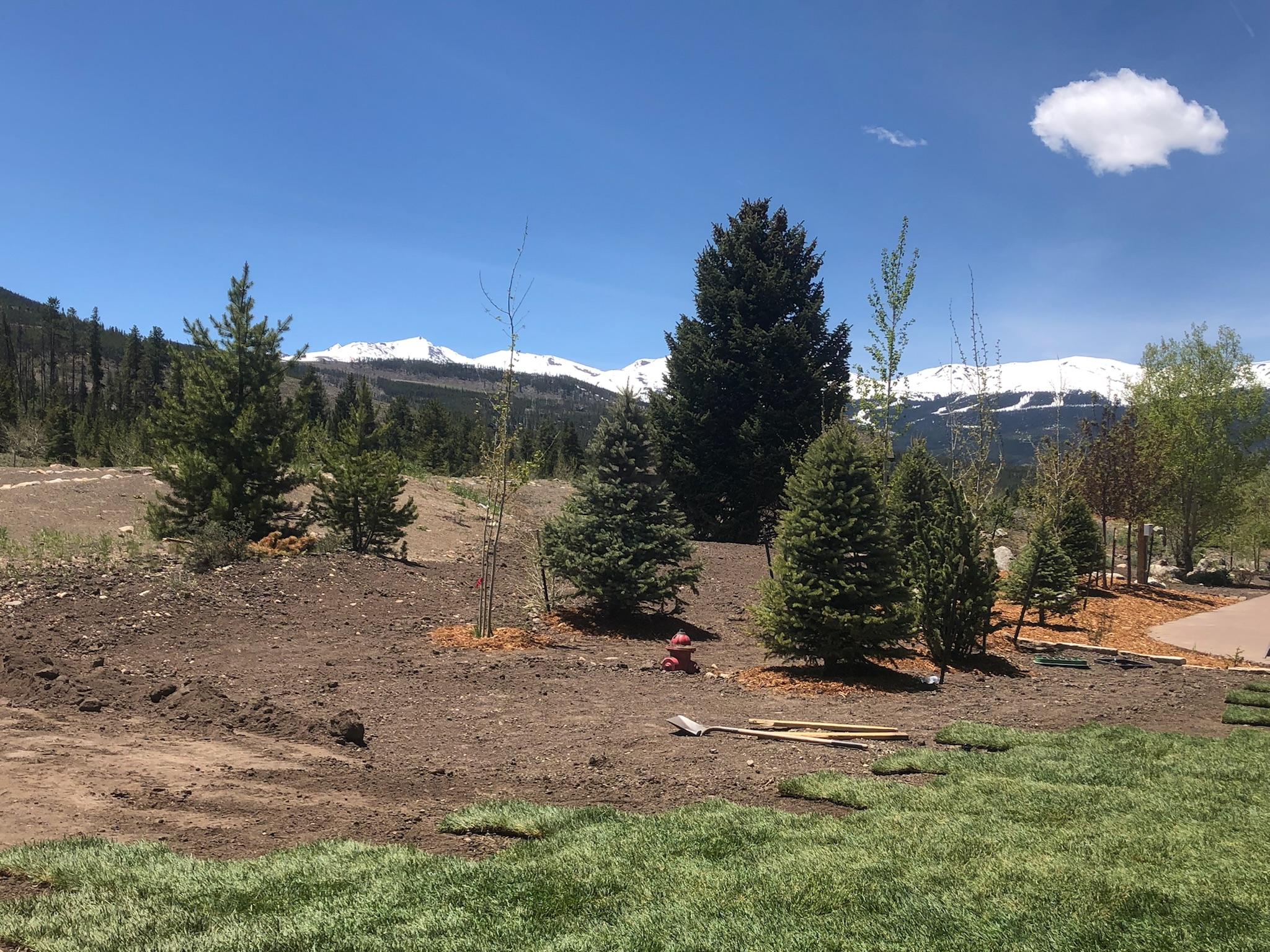 During Construction - Photo 1