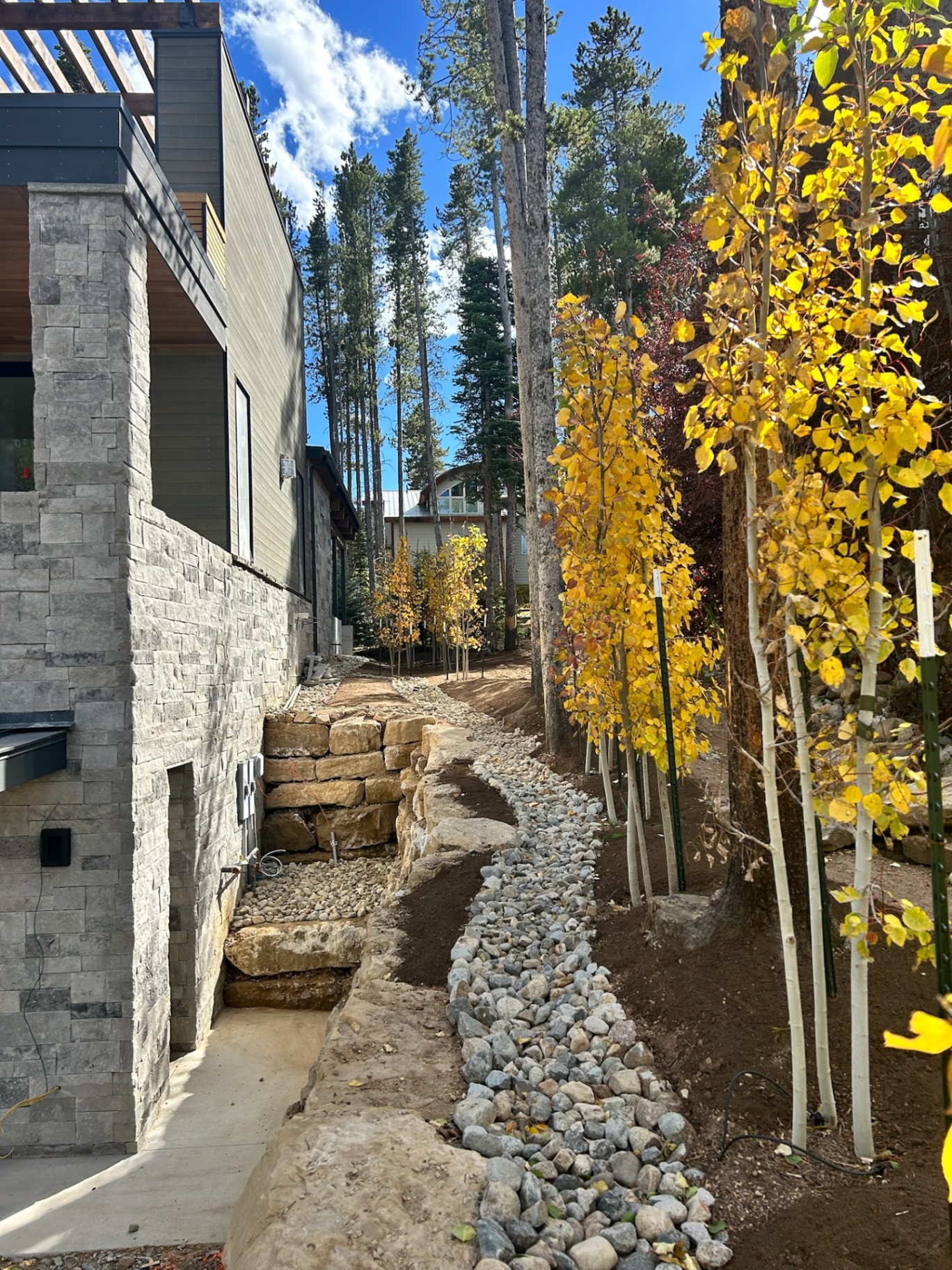 Trees & Plantings Gallery - Photo 22