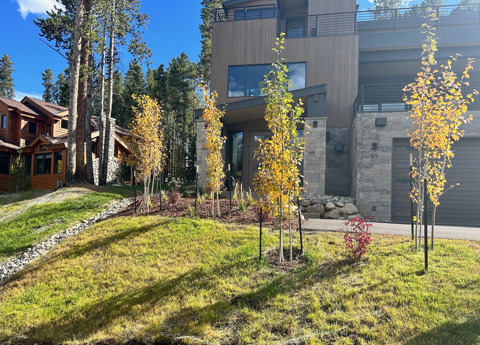 Trees & Plantings Gallery - Photo 13