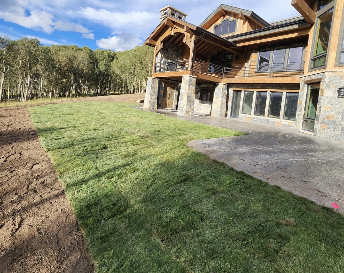 Turf & Native Grasses Gallery - Photo 25