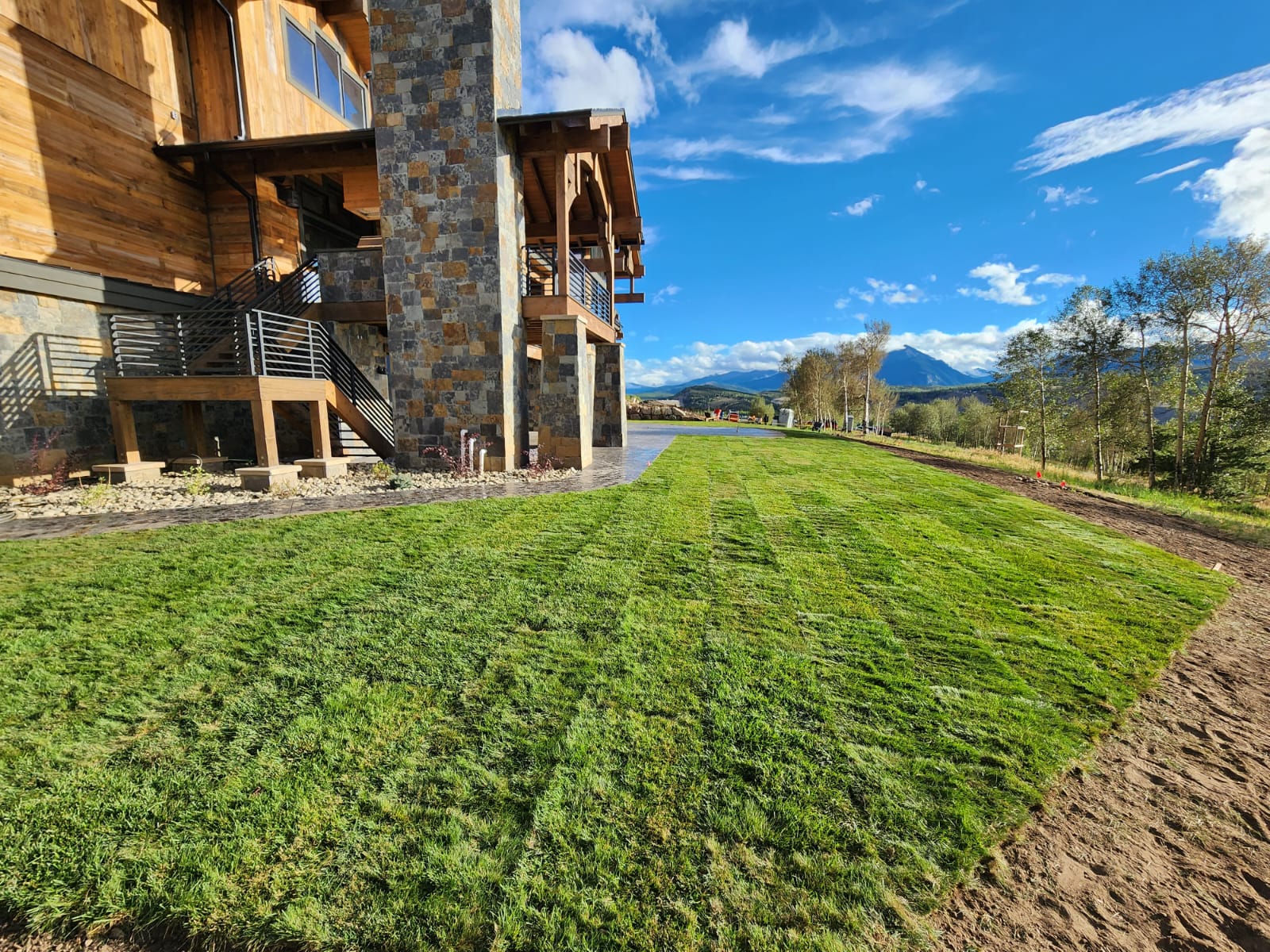 Turf & Native Grasses Gallery - Photo 27