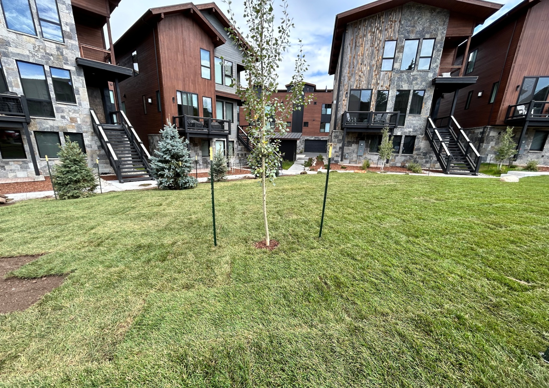 Commercial landscaping project